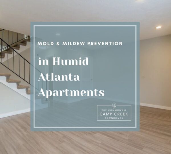 Mold & Mildew Prevention in Humid Atlanta Apartments